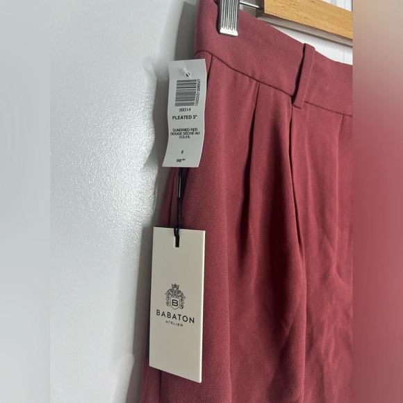 Aritzia - Babaton - Sundried Red 3” Pleated Shorts - NWT Size 8 - Picture 4 of 8